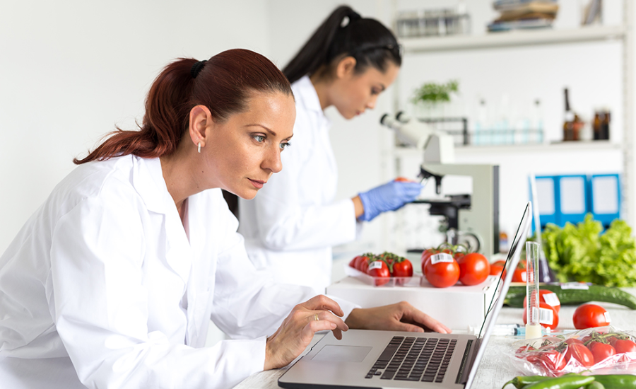 FoodSafetyTesting_GettyImages-839224212_1000px_900x550