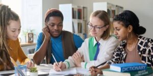 Multicultural Learning Environment